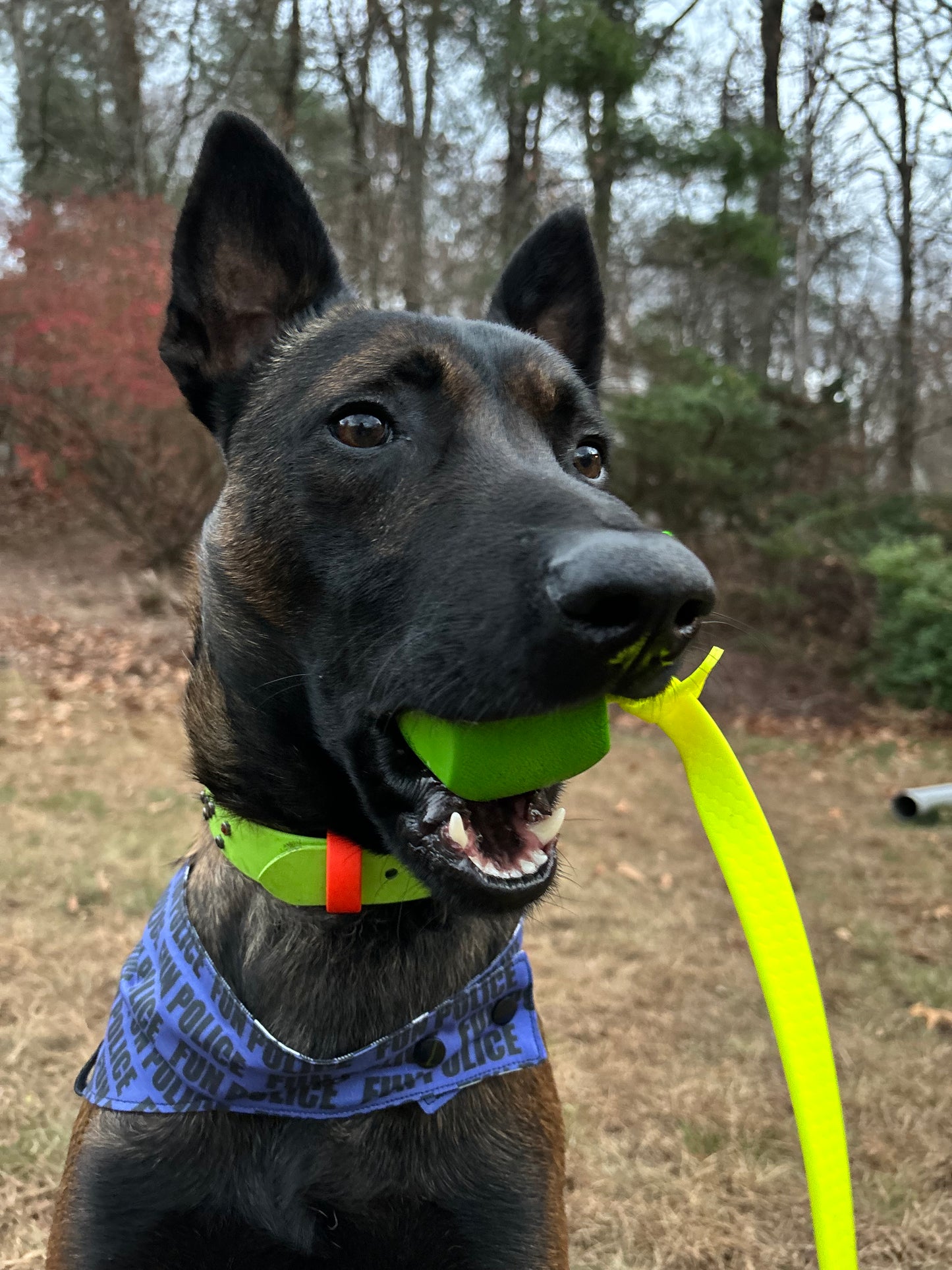 Ball tug