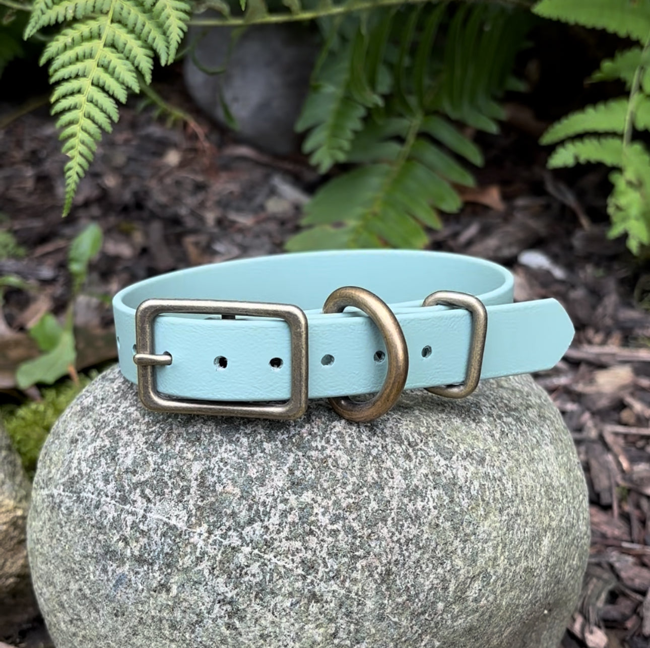 3/4” Puppy Collar