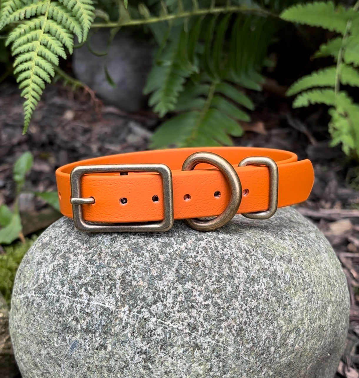 3/4” Puppy Collar